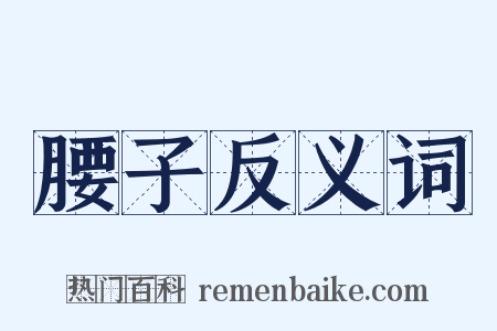腰子反义词是什么意思的图片